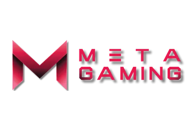 Partner logo 9